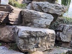 -莲花池公园