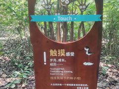 -华侨城湿地公园