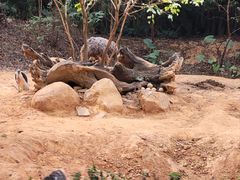 -广州长隆野生动物世界