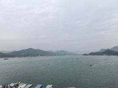 -望湖烤鱼