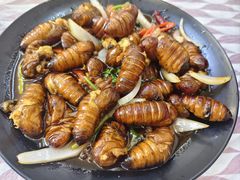 -徐嘉赫龙虾馆