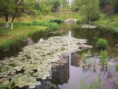 -长白岛森林公园