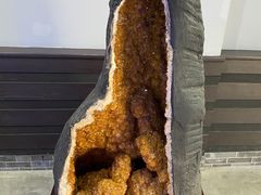 -游龙石文化科普馆