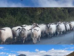 -硗碛藏寨·神木垒景区