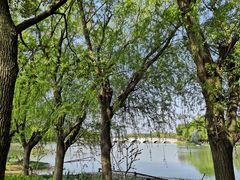 -昆山城市生态森林公园