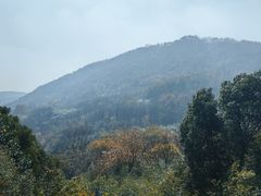 -南京老山国家森林公园