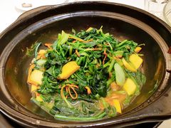 砂锅养生野菜-金春禧(世茂国际广场店)