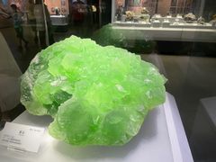 -湖南省地质博物馆