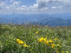 -白草畔自然风景区