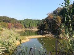 -千岛湖龙川湾
