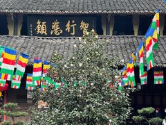 -峨眉山报国寺