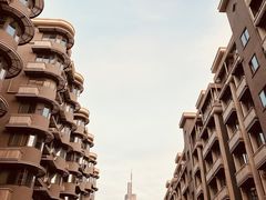 -紫峰大厦