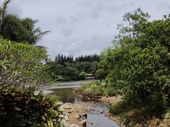 -深圳仙湖植物园