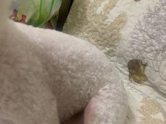 -大理酷宠宠物医院