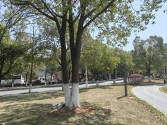 -岳阳市博物馆