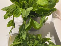 -云尊府云南菜·蒸汽石锅鱼(学清路店)