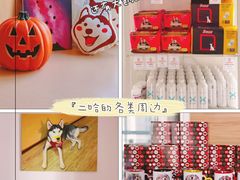-Husky Go! 哈士奇体验馆·宠物咖啡厅狗咖