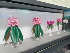 -四川大学博物馆