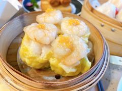 招牌烧卖-点都德(龙之梦店)