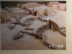 -洛阳周王城天子驾六博物馆