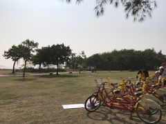 -野狸岛