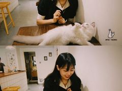 -猫友咖啡店(玉林西路店)