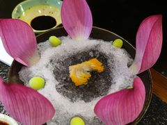 -菌自由丨野生菌火锅特色庭院餐厅(丽江古城店)