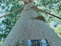 -深圳市人才园(深南大道店)