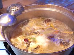 -千岛蚝高压锅生蚝·人参火锅(白云万达店)