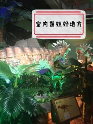 -恐龙探索乐园(磁器口店)
