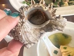 -魚當家