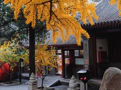 -红螺寺