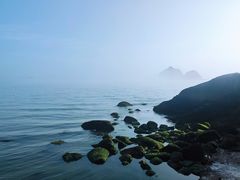 -枸杞岛