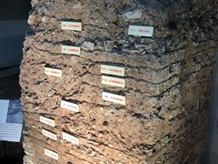 -南越王博物院(王宫展区)