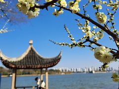 -石湖景区