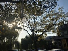-世纪缘国际会议中心·中餐厅(百家湖店)