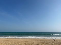 -三亚海棠湾万丽度假酒店