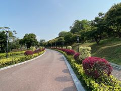 -立新湖公园