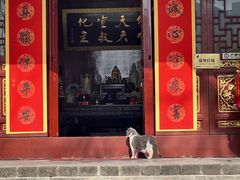 -长春观