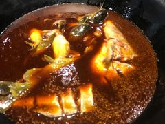 鲟鱼-白洋淀灶台鱼(名佳花园店)