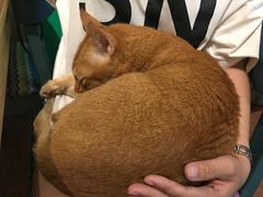 -默迹咖啡馆