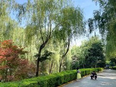 -西安汉城湖景区