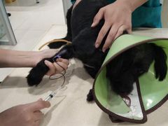 -骐奇宠物诊疗中心(南亭公路店)