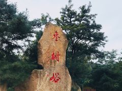 -鲁山国家森林公园