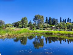 -墨尔本皇家植物园