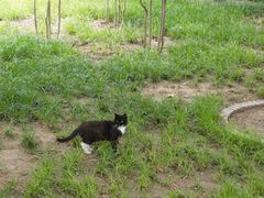 -长辛店二七公园