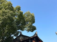 -紫阳古街