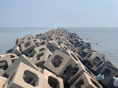 -东疆建设开发纪念公园