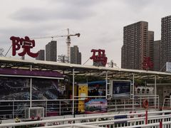 -海河游船-永乐码头(大悲院)