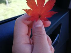 -丹东天桥沟景区